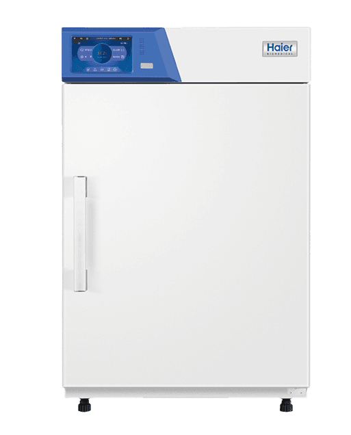 Standard Incubator