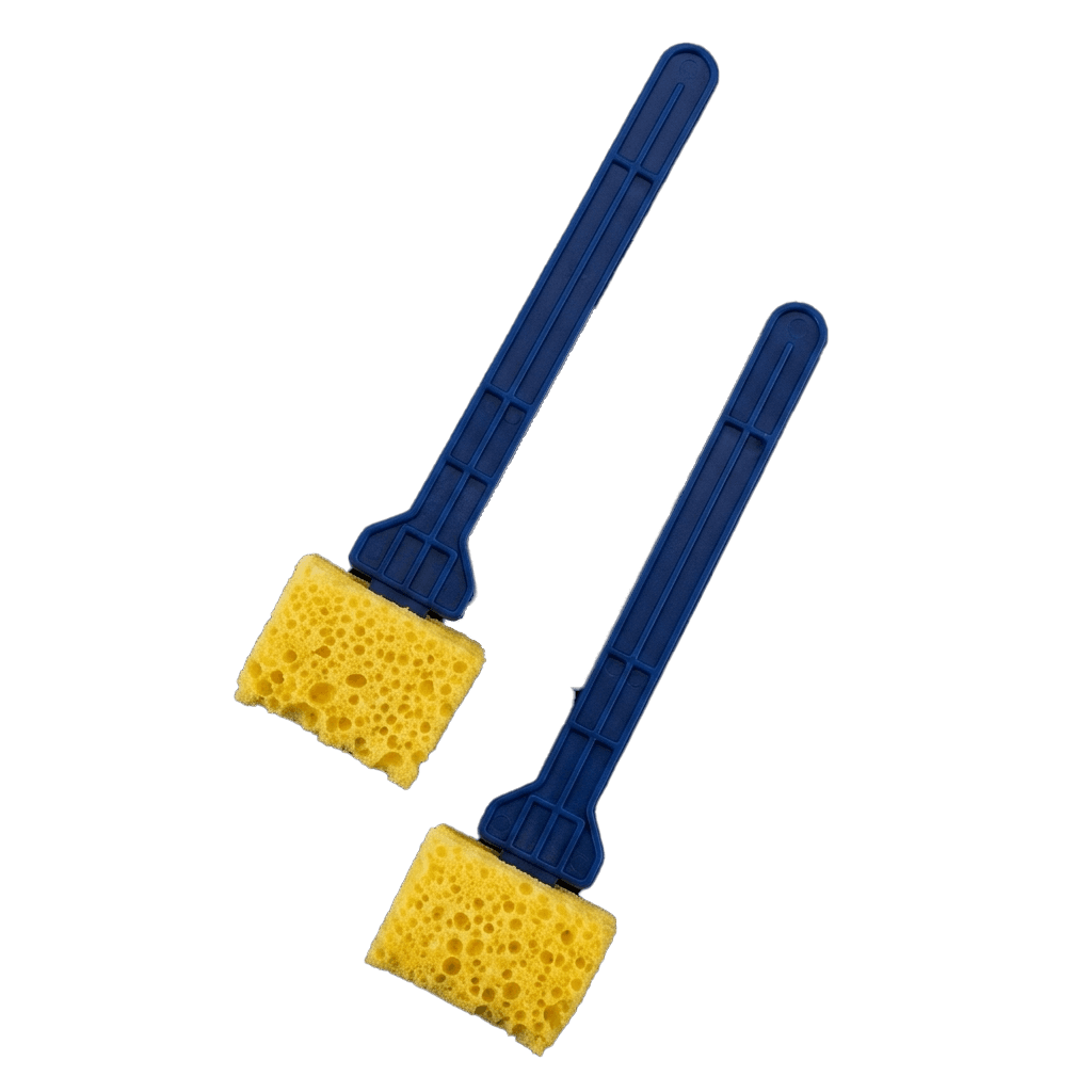 Sponge