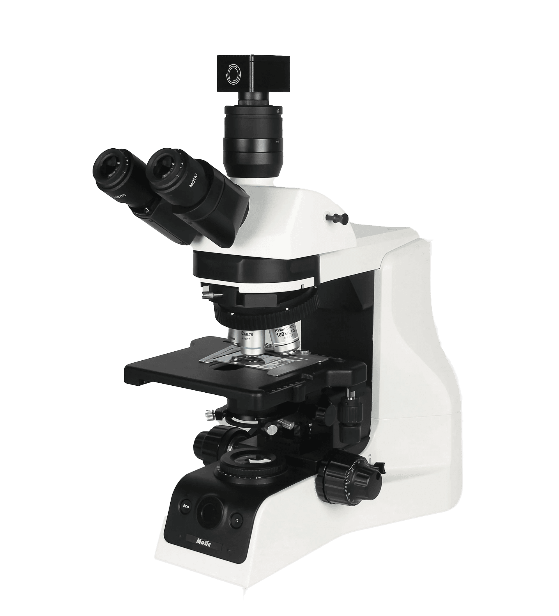 PA53 BIO